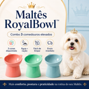 Maltês RoyalBowl™ - Comedouro Elevado para Maltês