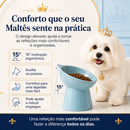 Maltês RoyalBowl™ - Comedouro Elevado para Maltês