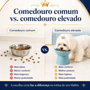 Maltês RoyalBowl™ - Comedouro Elevado para Maltês