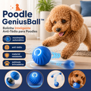 Poodle GeniusBall™ | Bolinha Inteligente Anti-Tédio para Poodles