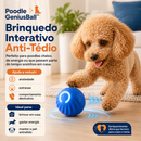 Poodle GeniusBall™ | Bolinha Inteligente Anti-Tédio para Poodles
