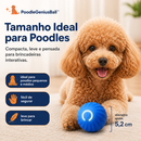 Poodle GeniusBall™ | Bolinha Inteligente Anti-Tédio para Poodles
