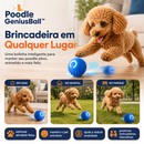 Poodle GeniusBall™ | Bolinha Inteligente Anti-Tédio para Poodles
