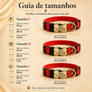 IDPet Collar™ -  Coleira Personalizada para Cães