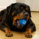 Bola de Brinquedo Elétrica para Rottweiler