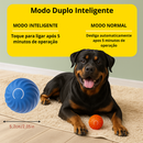 Bola de Brinquedo Elétrica para Rottweiler
