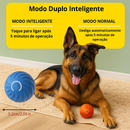 Bola de Brinquedo Elétrica para Pastor Alemão