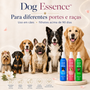 Dog Essence™ - Perfume pet suave para cães de todas as raças, idades e tamanhos.