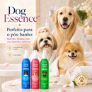 Dog Essence™ - Perfume pet suave para cães de todas as raças, idades e tamanhos.