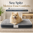 Colchão Ortopédico do Spitz Real™