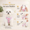 Maltês RoyalWalk™- Colete Confortável para Maltês