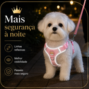 Maltês RoyalWalk™- Colete Confortável para Maltês