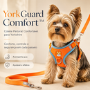 YorkGuard Comfort™ | Colete Peitoral Confortável para Yorkshire