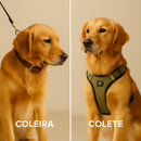 Colete Peitoral Premium™ – Segurança & Estilo para Cães