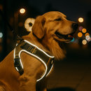 Colete Peitoral Premium™ – Segurança & Estilo para Cães