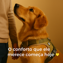 Colete Peitoral Premium™ – Segurança & Estilo para Cães