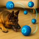 Bola de Brinquedo Elétrica para Pastor Alemão