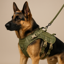 Colete Peitoral Militar para Cães + Guia Reforçada Inclusa