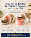 Shih Tzu Mesa Real™ - Comedouro Elevado para Shih Tzu