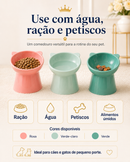 Shih Tzu Mesa Real™ - Comedouro Elevado para Shih Tzu