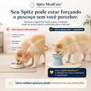 Spitz MealCare™ - Comedouro Elevado para Spitz Alemão