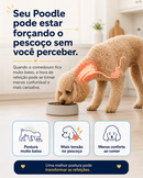 Poodle ComfortMeal™ - Comedouro Elevado para Poodles