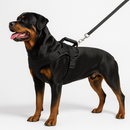 Colete Peitoral Reforçado com Guia Retrátil para Rottweiler – Segurança e Controle Total