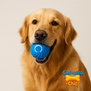 Bola de Brinquedo Elétrica para Goldens