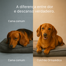 Colchão Ortopédico do Salsichinha