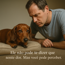 Colchão Ortopédico do Salsichinha