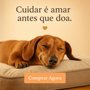 Colchão Ortopédico do Salsichinha