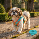 Colete Imperial Shih - Passeios com mais conforto, elegância e segurança para o seu Shih-Tzu