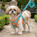 Colete Imperial Shih - Passeios com mais conforto, elegância e segurança para o seu Shih-Tzu