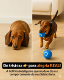 🔥 Bolinha de brinquedo interativa - Pet Care 🔥