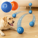 Bola de Brinquedo Elétrica para LABRAODRES