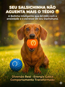 🔥 Bolinha de brinquedo interativa - Pet Care 🔥