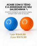 🔥 Bolinha de brinquedo interativa - Pet Care 🔥