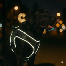 Colete Peitoral  Labrador Premium™ – Segurança & Estilo para Cães