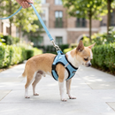 Peitoral Respirável com Guia para Pequenos Pets