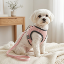 Peitoral Respirável com Guia para Pequenos Pets