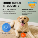 Bola de Brinquedo Elétrica para LABRAODRES
