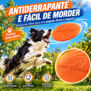 Border SkyRush™ | Frisbee Interativo para Border Collie