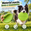 Border SkyRush™ | Frisbee Interativo para Border Collie