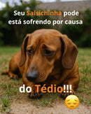 🔥 Bolinha de brinquedo interativa - Premium™ 🔥