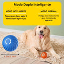 Bola de Brinquedo Elétrica para Cães Promoção BLACK FRIDAY