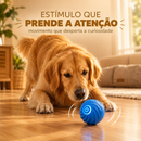 GoldenPlay™ – Bolinha Inteligente Anti-Tédio