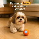 Bolinha Interativa Power Play™ para Shih Tzu  — 🔥 Auto-movimento e estímulo diário 🔥