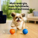 Bolinha Interativa Power Play™ para Shih Tzu  — 🔥 Auto-movimento e estímulo diário 🔥