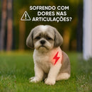 Colete Confort Pro – Passeios Seguros para Shiht-Zus