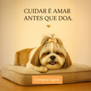 Colchão Ortopédico do Shih-Tzu